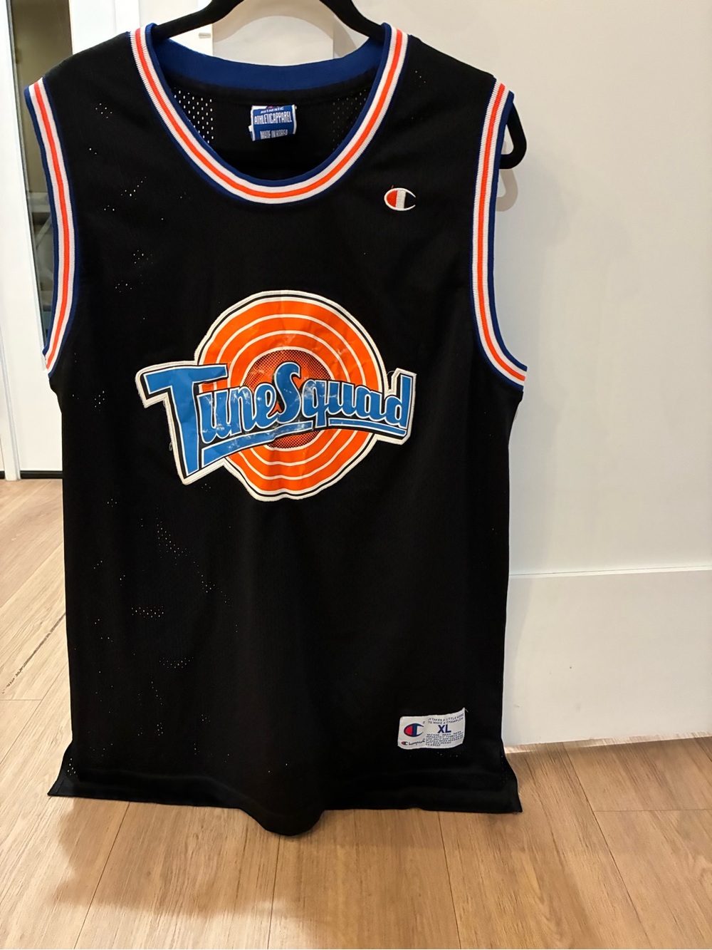 VINTAGE Champion Tune Squad basketball jersey, Michael Jordan